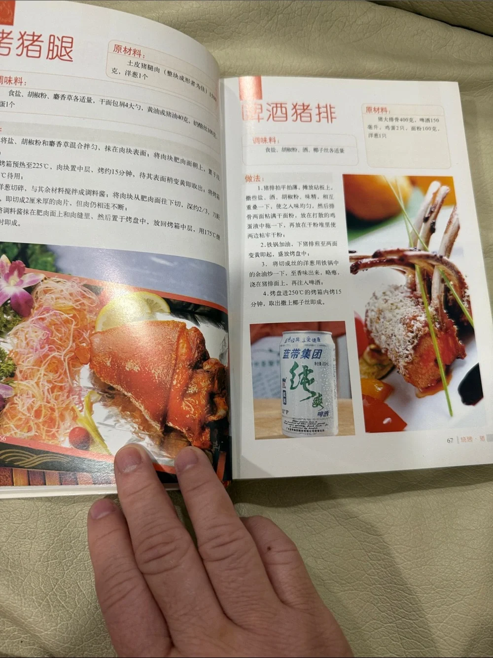 Chinese BBQ & Roasting Recipes Cookbook - White/Green Cover